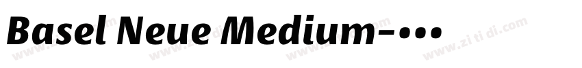 Basel Neue Medium字体转换